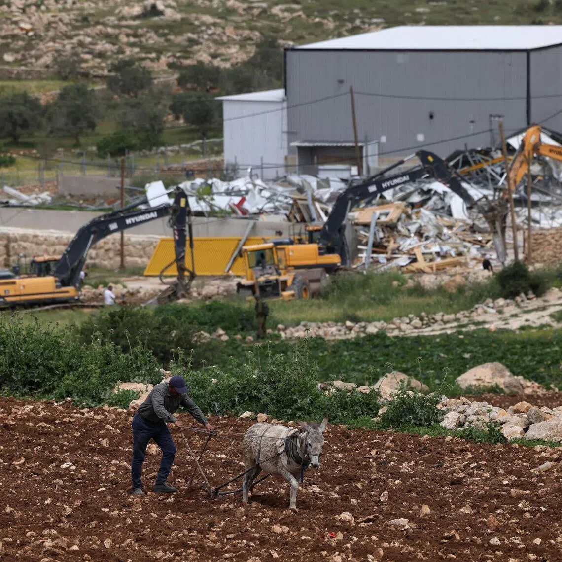A Palestinian ploughs his land with a donkey as Israeli excavators demolish a Palestinian workshop that was reportedly built without an Israeli permit, in Beit Ula village near the occupied West Bank city of Hebron.