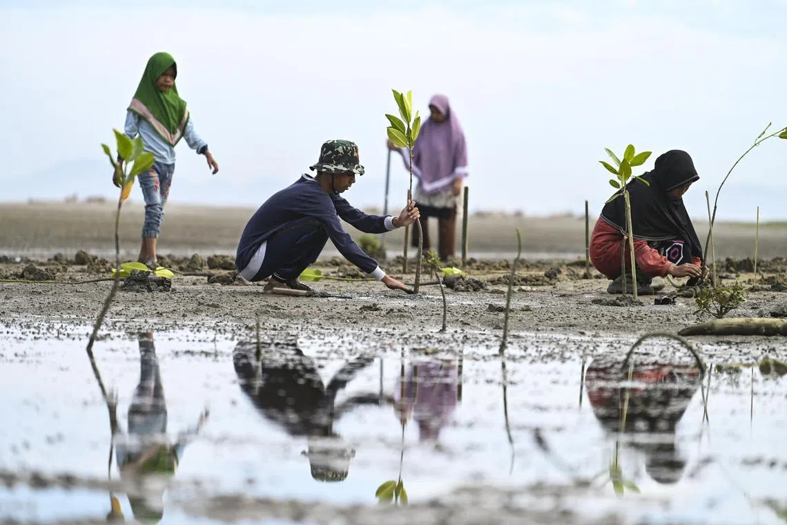 Widespread and growing damage to ecosystems, from rainforests to coral reefs, threatens humanity and the global economy.