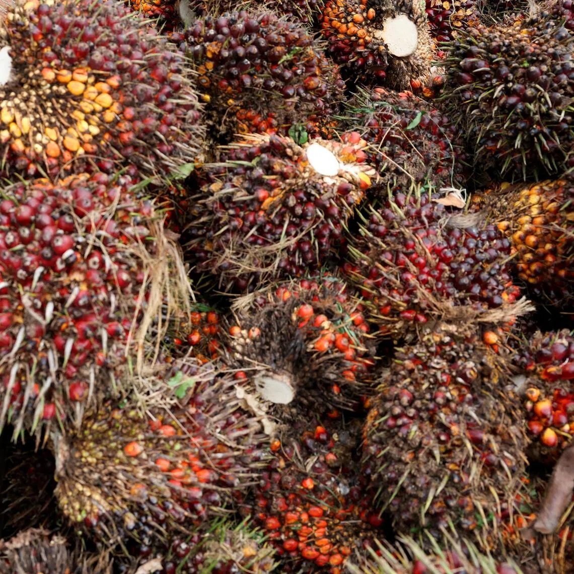 Indonesia is the world’s biggest exporter of thermal coal, palm oil and nickel. It is also a major supplier of tin, copper, bauxite, and coffee beans.