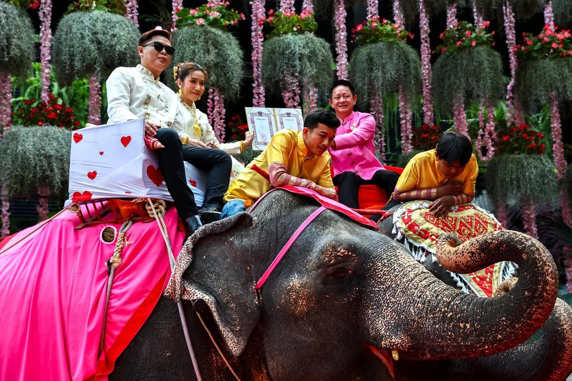 A couple receive their marriage licence while riding elephants during a Valentine's Day celebration in Thailand.