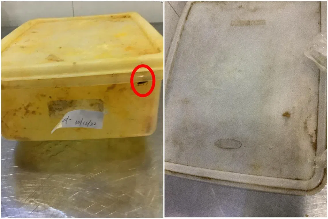 SFA found several hygiene lapses, including cockroach infestations and usage of a dirty food container during an inspection.