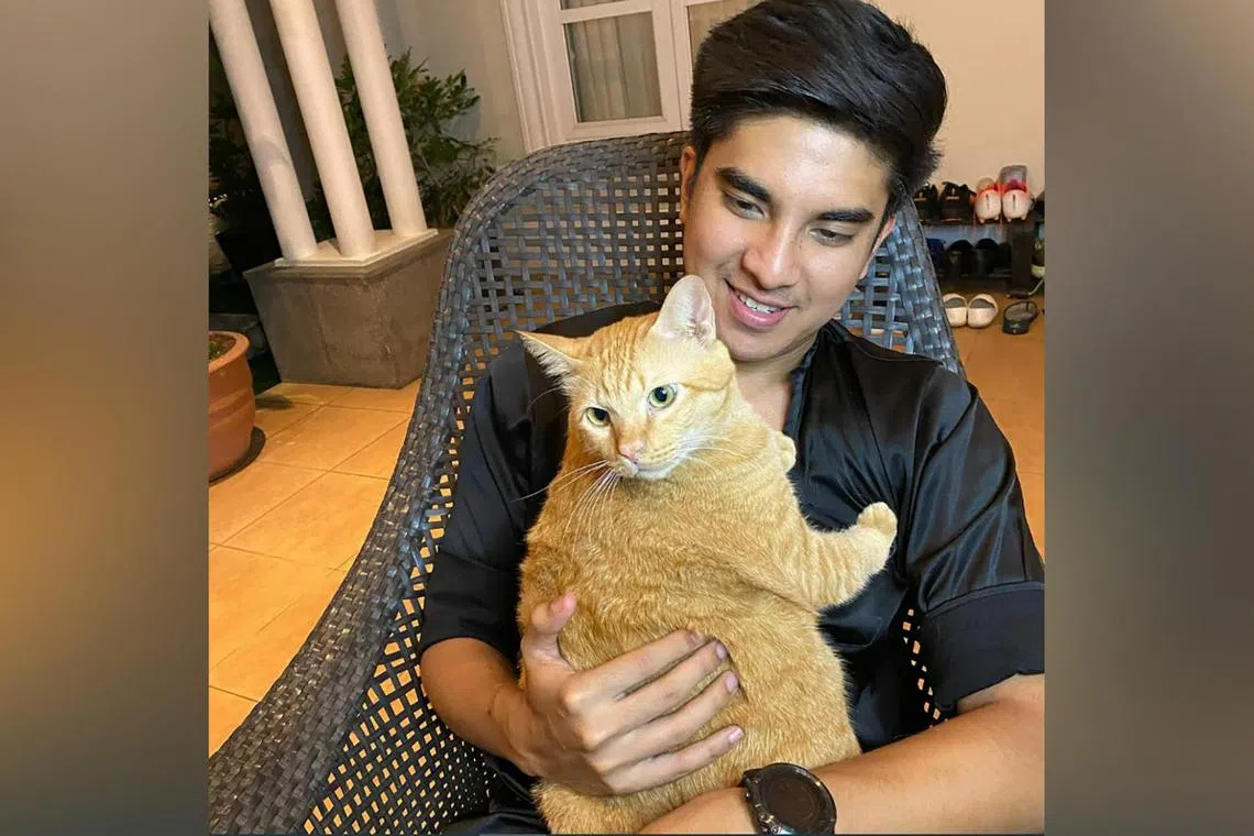 Toby was one of two cats owned by Malaysian United Democratic Alliance founder Syed Saddiq. He has another cat called Meow Meow.