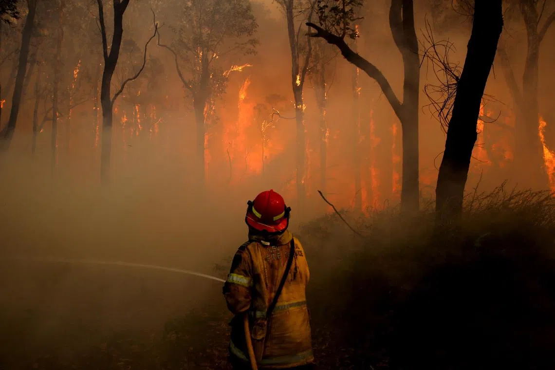 epaselect epa07183703 A rural firefighter works to contain an out of control fire that is threatening houses near Lemon Tree Passage road in the rural suburb of Salt Ash, New South Wales, Australia, 23 November 2018. New South Wales' Hunter region has been declared a bushfire emergency with homes in the area being threatened and conditions deteriorating, according to local media reports.  EPA-EFE/DARREN PATEMAN  AUSTRALIA AND NEW ZEALAND OUT