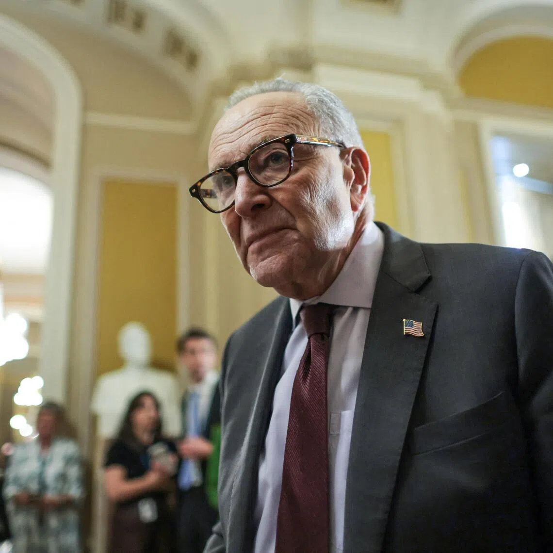 US Senate Minority Leader Chuck Schumer is among a group of Democrats who oppose military action against Venezuela. 