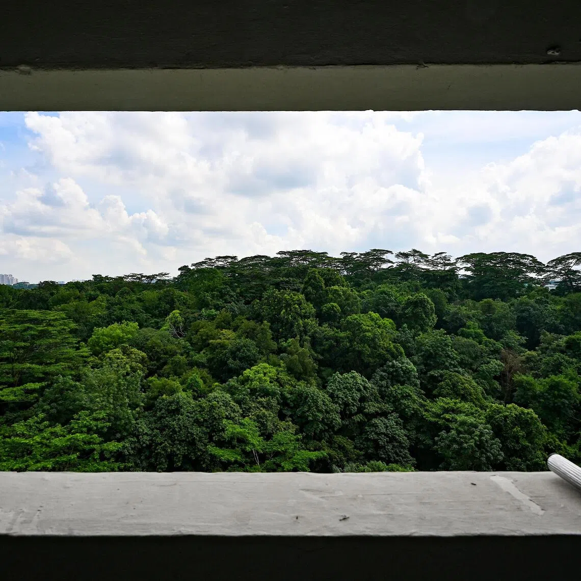 image-alt