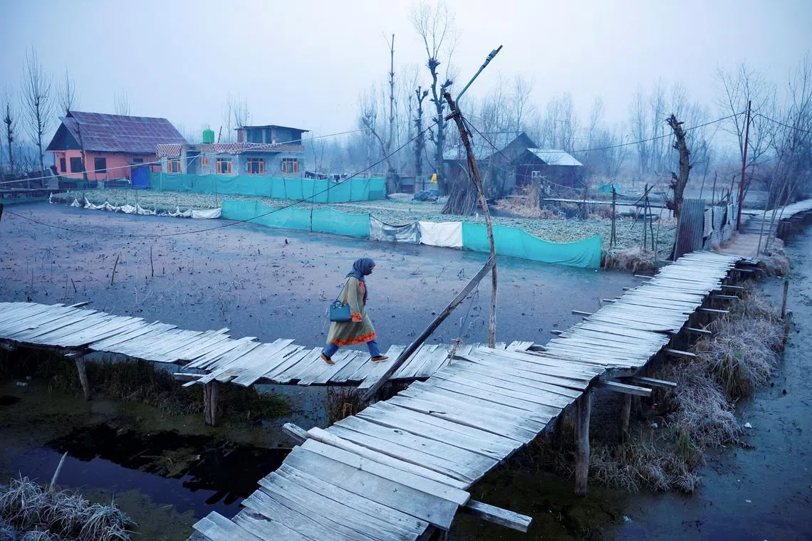 A woman walking over a wooden bridge in the interiors of Dal Lake on a cold winter morning in Srinagar, Indian Kashmir, on Jan 13, 2026. 