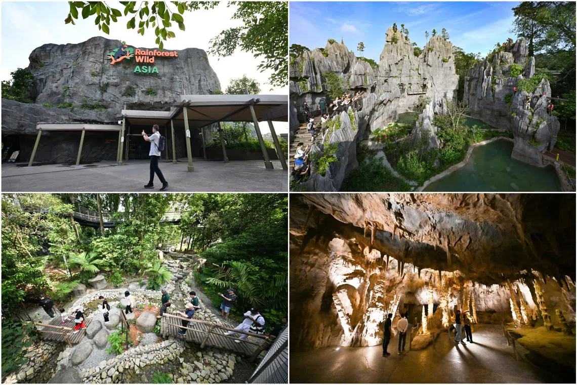 Tickets to the fifth wildlife park by Mandai Wildlife Group are now available for sale on its website.