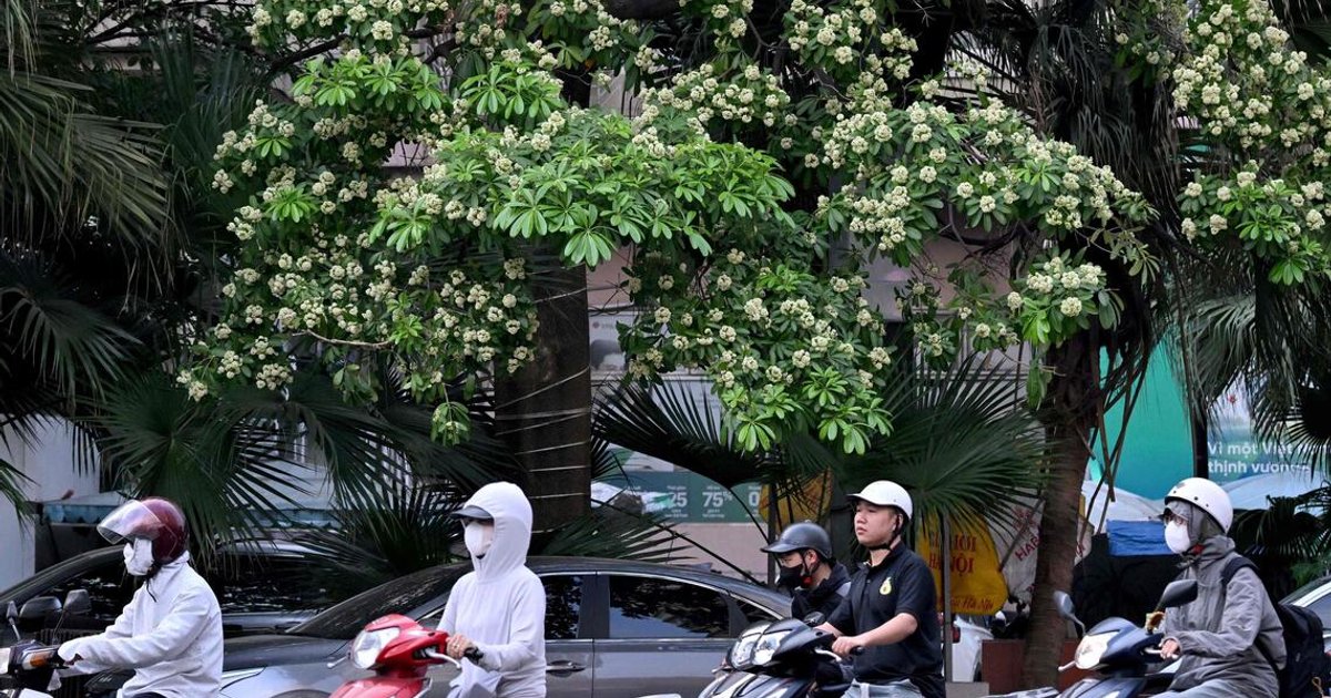 Vietnam eyes remote work, online classes as air quality worsens