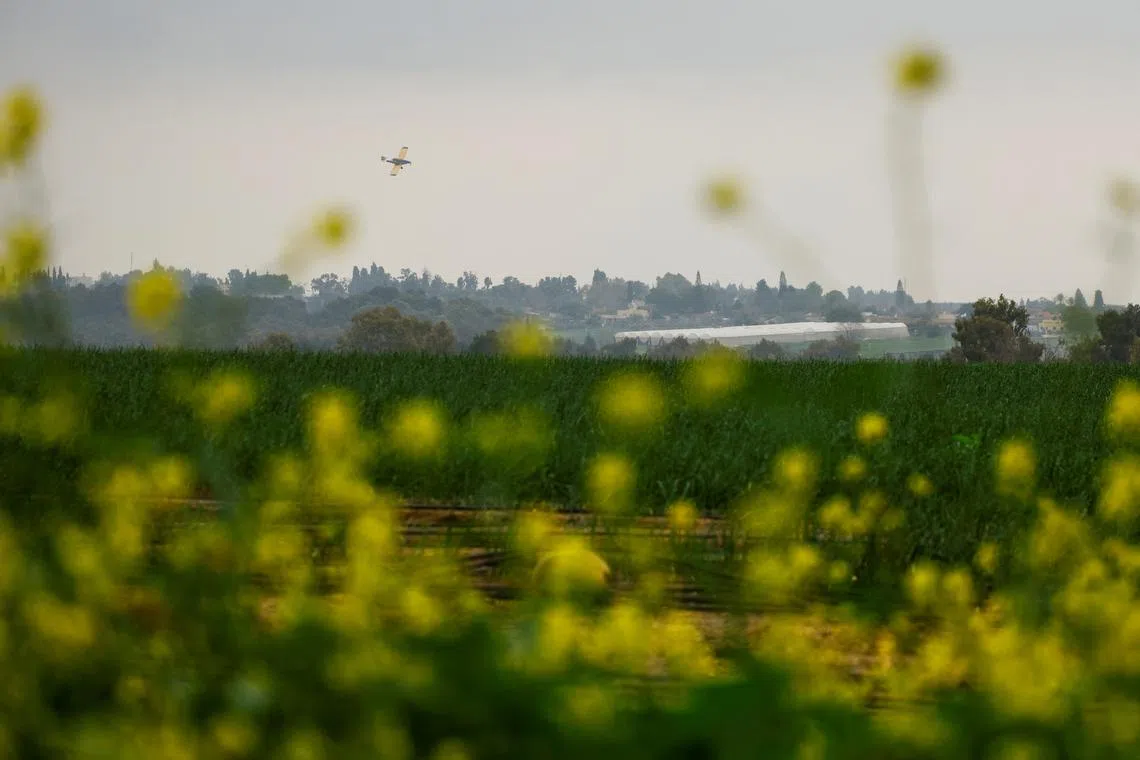 FILE PHOTO: A crop duster plane flies over a field, amid the ongoing conflict between Israel and the Palestinian Islamist group Hamas, near the Israel-Gaza border, Israel, February 19, 2024.REUTERS/Susana Vera/File Photo