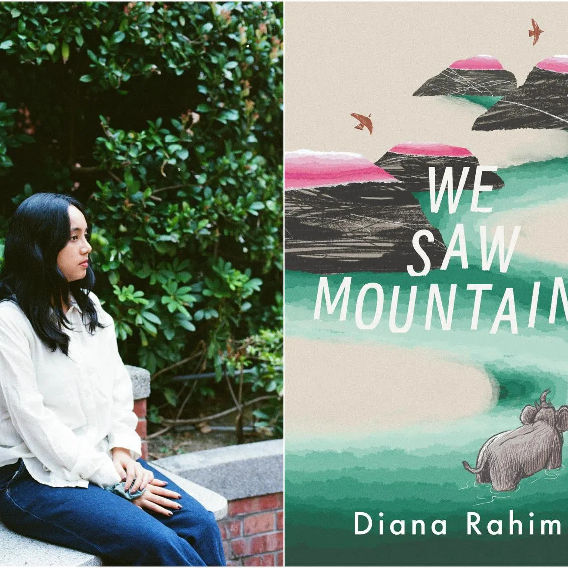 The eclectic clutch of nine stories are united by author Diana Rahim's unique worldview.