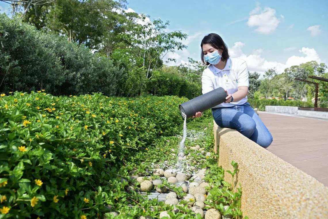 As at May 2023, there have been more than 3,000 applications for inland ash scattering services at the Garden of Peace. 