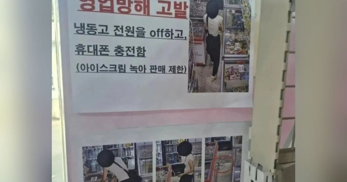 Woman unplugs freezer in South Korean shop to charge phone, leaving owner with melted ice cream
