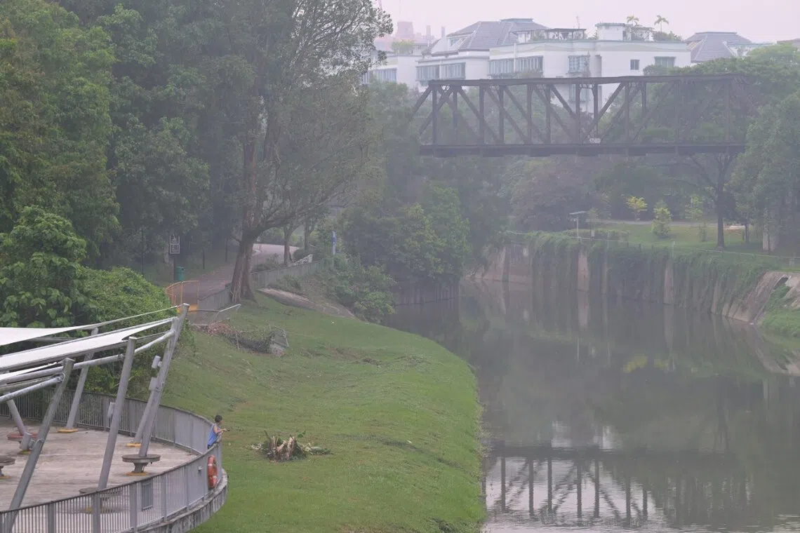 Hazy conditions at Ulu Pandan Park Connector at 6pm on Oct 14.