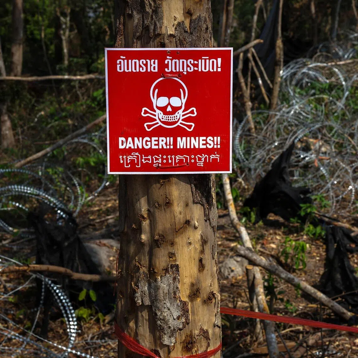 A landmine warning sign hangs on a tree at Hill 350 in Surin Province, a site of clashes between Thailand and Cambodia in December 2025. 