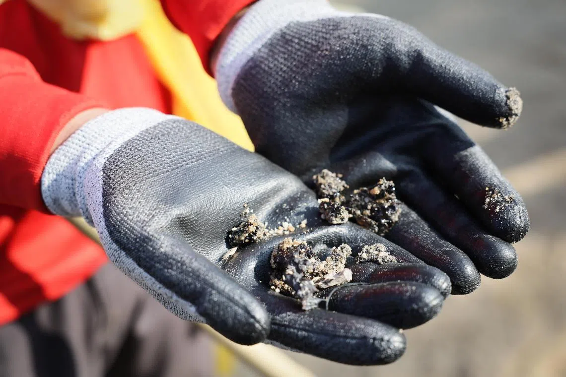 Slug: ncspill20 ST Photo: Gin Tay   Residual tar balls, small, dark-coloured pieces of coagulated oil found from the coastlines at East Coast Park beach on July 20, 2024.