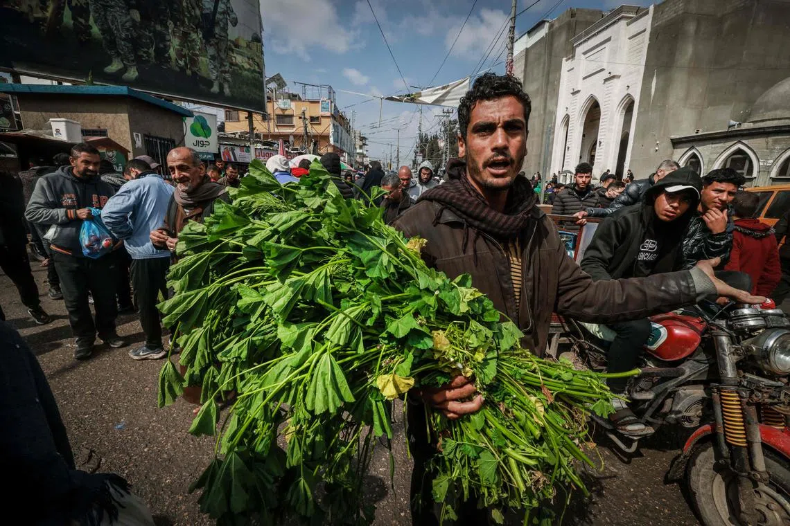 A Palestinians man selling mallows plant in a main street in Rafah, in the southern Gaza Strip, on Feb 19, 2024. Nearly 1.5 million displaced Palestinians are trapped in Rafah, more than half of Gaza's populations, seeking shelter in a sprawling makeshift encampment near the Egyptian border. 