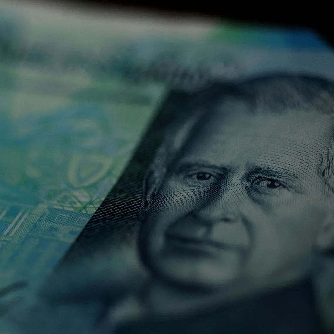 The new banknotes will not appear for several years. They will continue to feature a portrait of the monarch King Charles III on the other side.