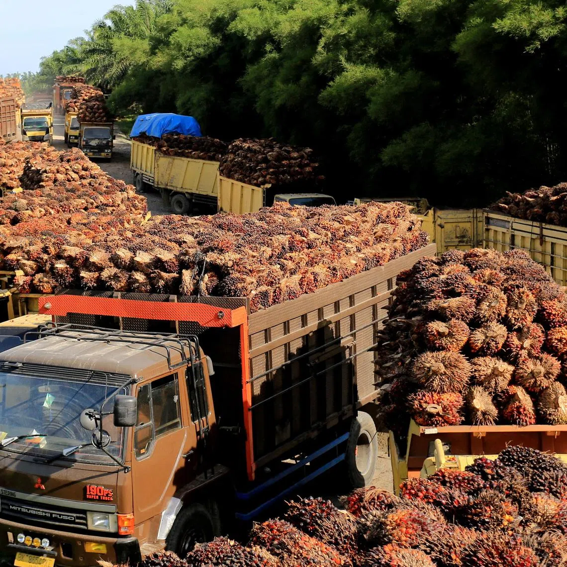 FILE PHOTO: Trucks with palm oil fresh fruit bunches queue for unloading at a factory in West Aceh, Indonesia, May 17, 2022, in this photo taken by Antara Foto. Picture taken May 17, 2022. Antara Foto/Syifa Yulinnas/ via REUTERS ATTENTION EDITORS - THIS IMAGE HAS BEEN SUPPLIED BY A THIRD PARTY. MANDATORY CREDIT. INDONESIA OUT. NO COMMERCIAL OR EDITORIAL SALES IN INDONESIA./File Photo