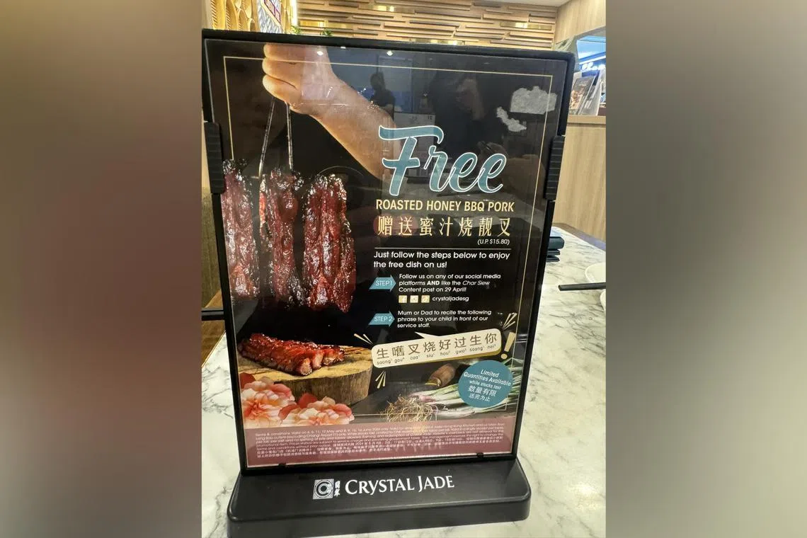 The phrase translates to: “It’s better to give birth to a piece of char siew than to give birth to you”.