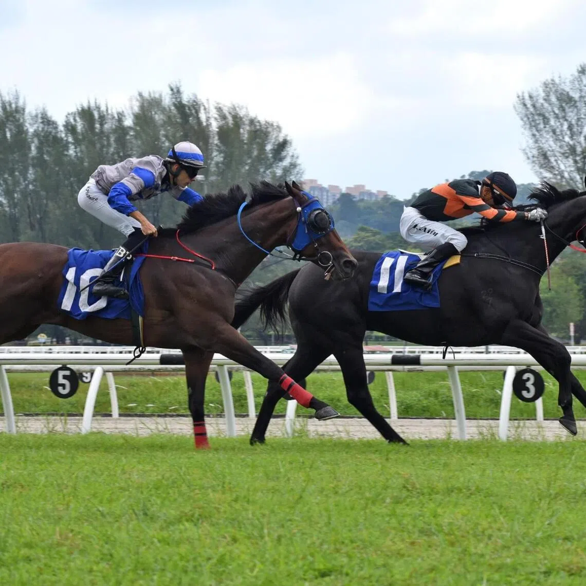 desi28 - Desi master


PHOTO: SLTC