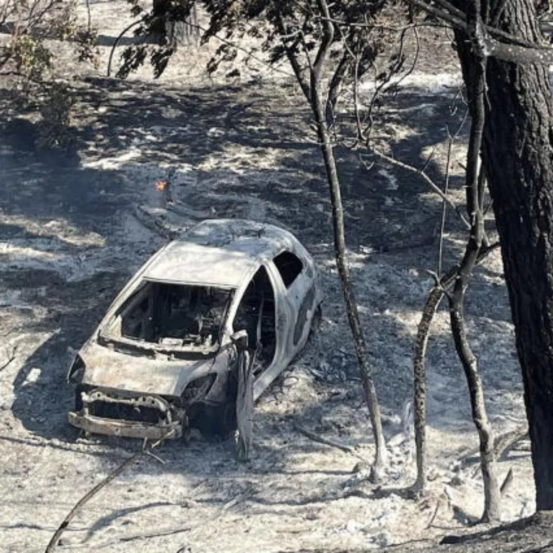 A burnt Toyota Yaris in the gully, where it sparked one of California’s largest-ever wildfires.