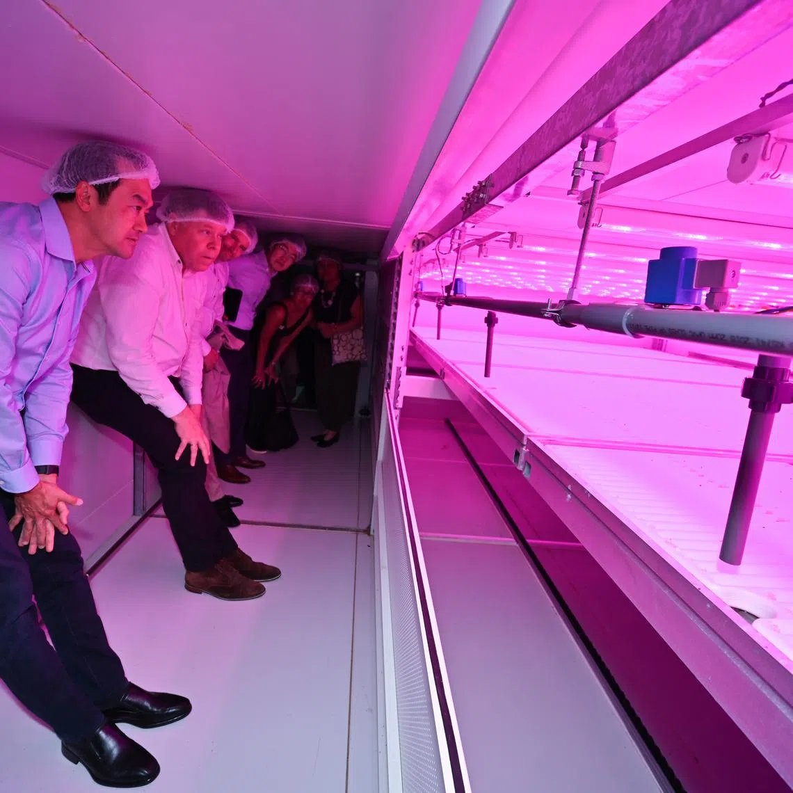 Senior Minister of State for Sustainability and the Environment Koh Poh Koon and Growy founder and CEO Ard van de Kreeke at the firm's indoor vertical farm.