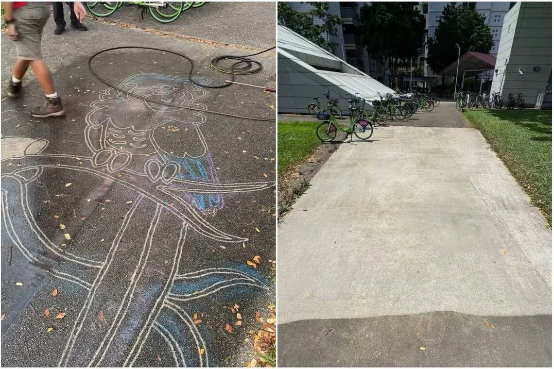 Mountbatten artwork removed by SMRT raises questions about a