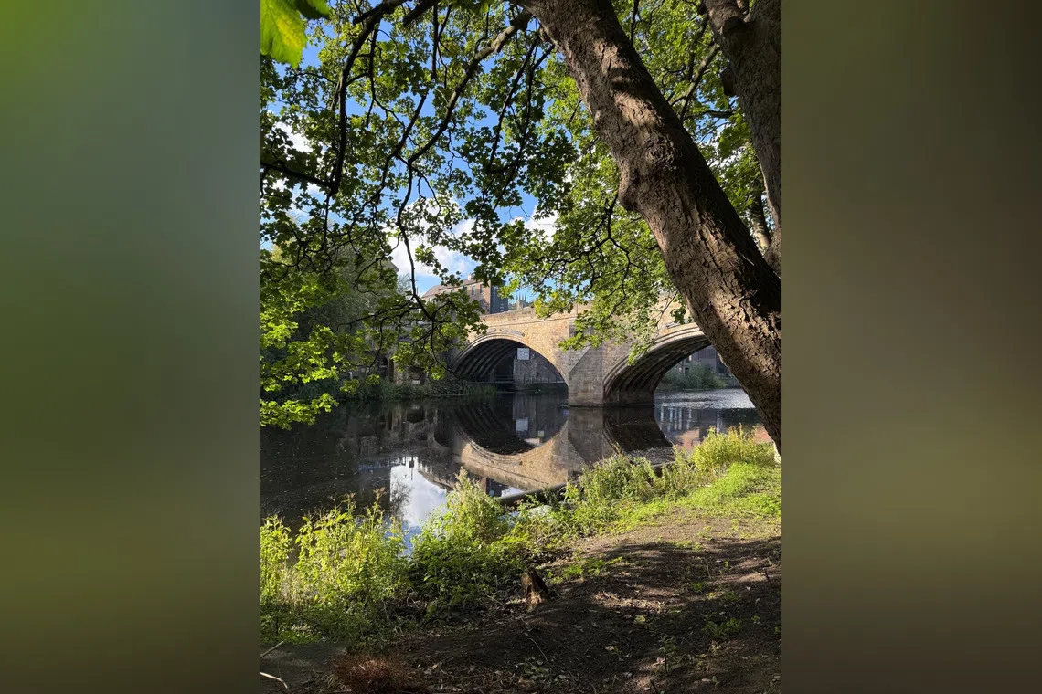 The start of a new season both in nature, and the writer's life, as her son enters university.