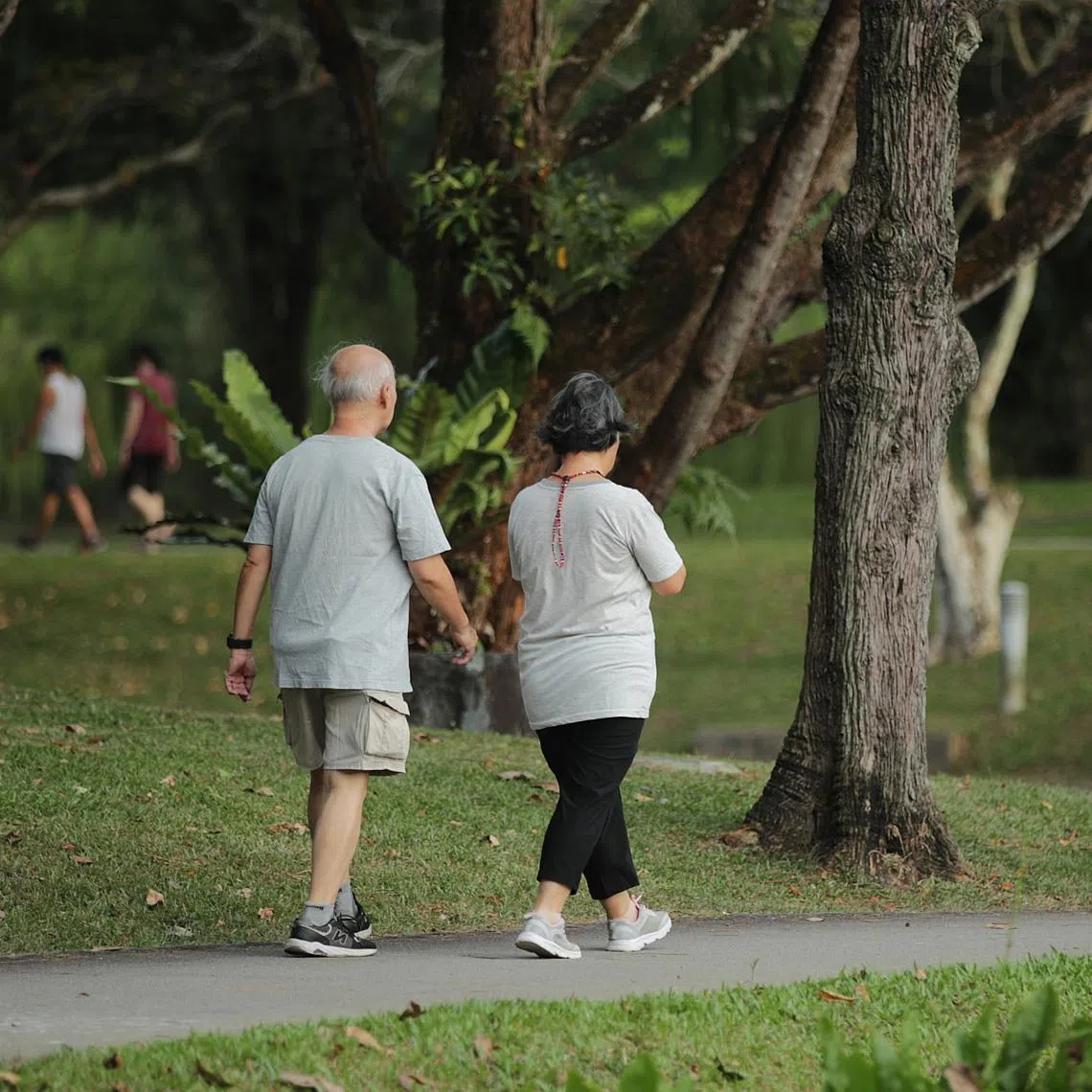 A higher cost of living and stricter immigration rules usually put Singapore out of contention in retirees’ minds.