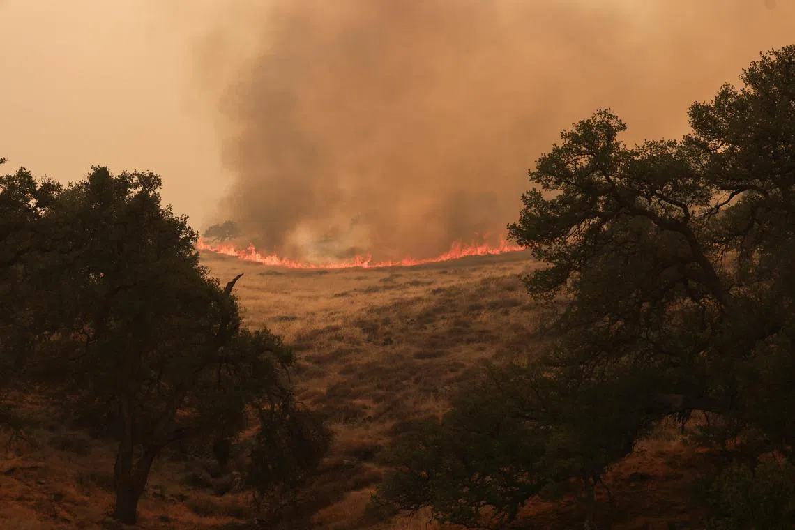 In 24 hours, the blaze spread over 21,000ha, or roughly the size of 29,000 football fields.