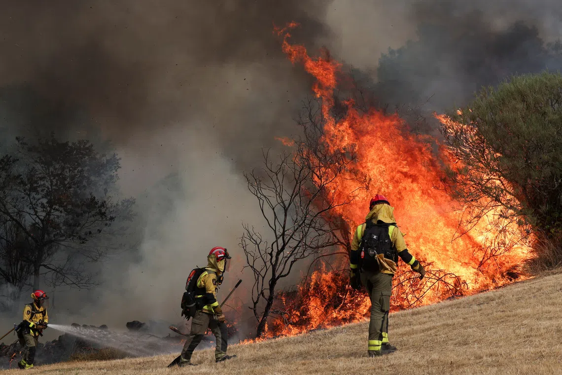 Researchers from the University of Tasmania found that over 43 per cent of the costliest fires since 1980 happened in the past 10 years. 