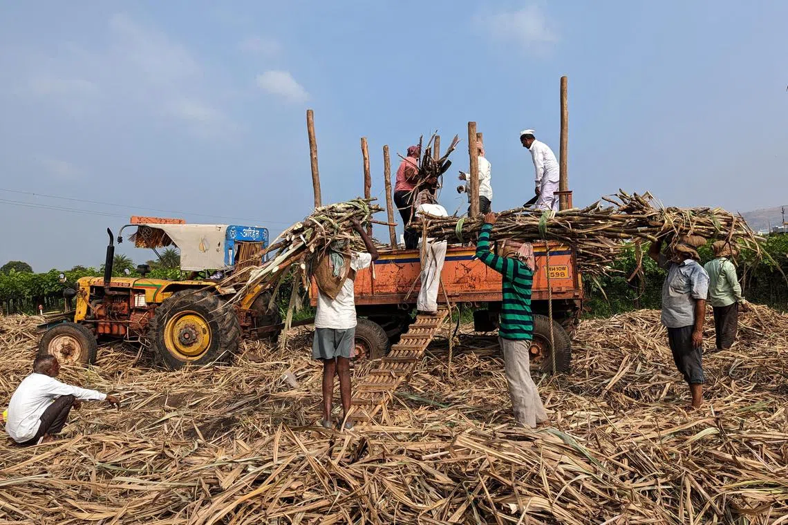 India is one of the largest exporters of white sugar, but shipments are controlled by quotas.