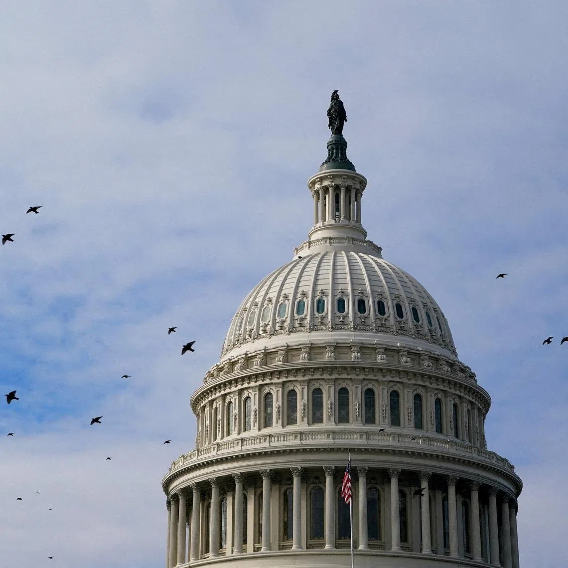 FILE PHOTO: Birds fly past the U.S. Capitol building dome in Washington, D.C., U.S., January 4, 2026. REUTERS/Elizabeth Frantz/File Photo