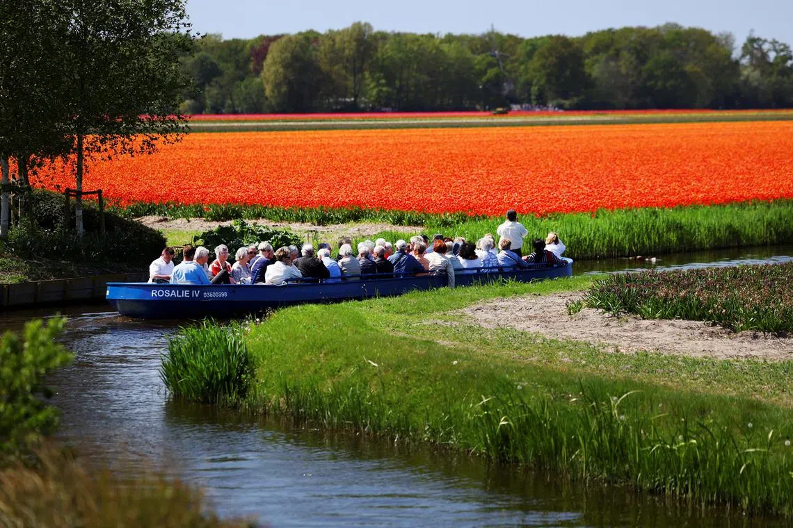 People sailing past a tulip field in Lisse, Netherlands, April 28, 2025. 