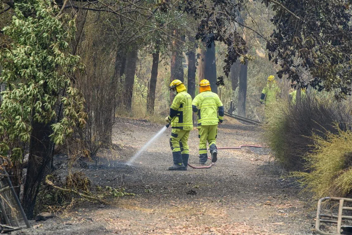 The heatwave is the worst seen in Victoria, Australia’s second-most populous state, since the 2009 Black Saturday bushfires that killed 173 people.