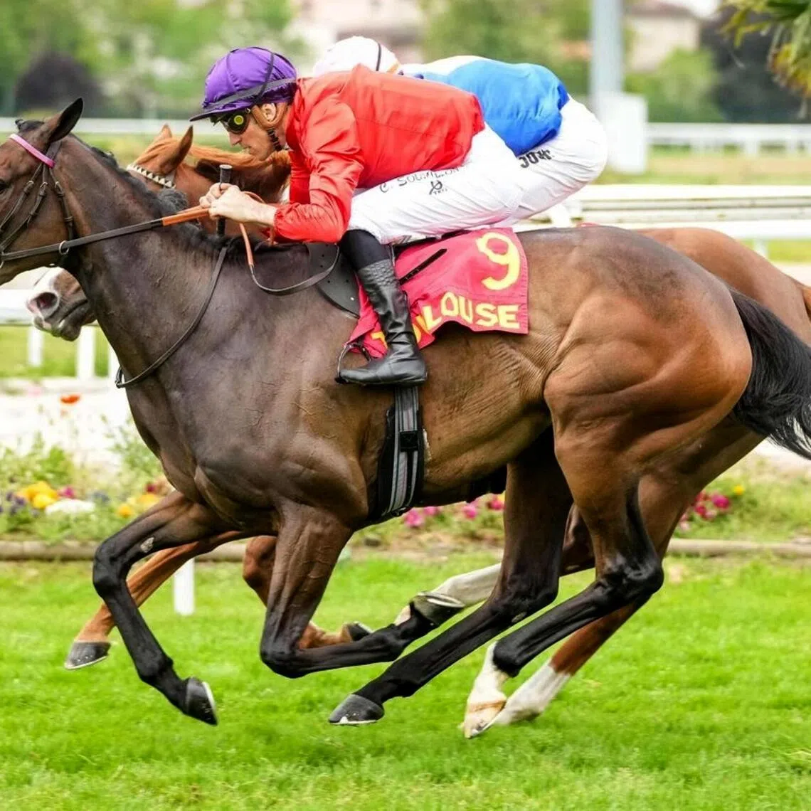 Lapotheose - Lapotheose is unbeaten in four starts in France and will start as the favourite to notch a first overseas success in the Group 1 Preis der Diana (2,200m) in Dusseldorf on Aug 2.

PHOTO: SCOOPDYGA