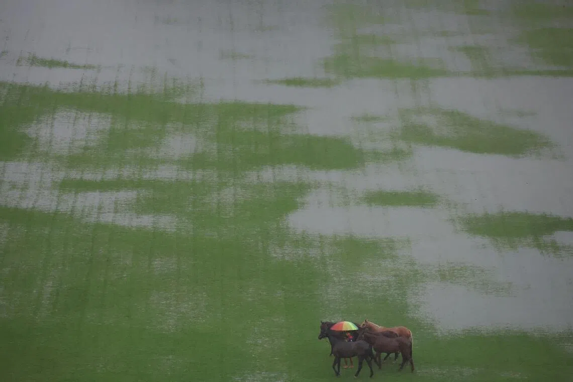 A man uses an umbrella to walk horses through a partially flooded polo field as rain pours in Kuala Lumpur, Malaysia, November 24, 2025. REUTERS/Hasnoor Hussain
