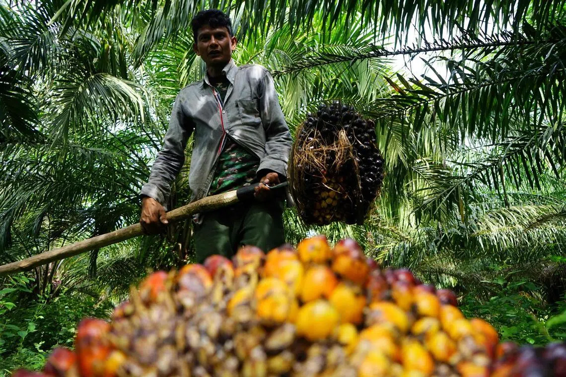 Indonesia to scale back commodity export centralisation, tighten monitoring: Sources
