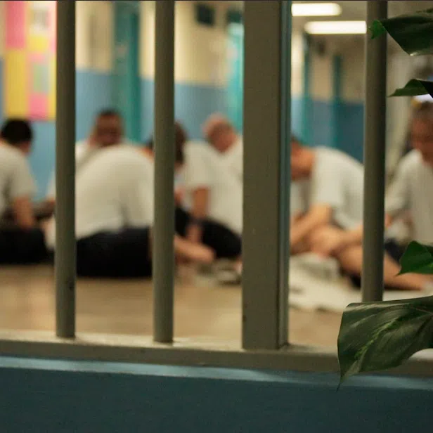 Senior Minister of State for Home Affairs Faishal Ibrahim said the prisons healthcare system is aligned with the national standards and can manage inmates with varying conditions.