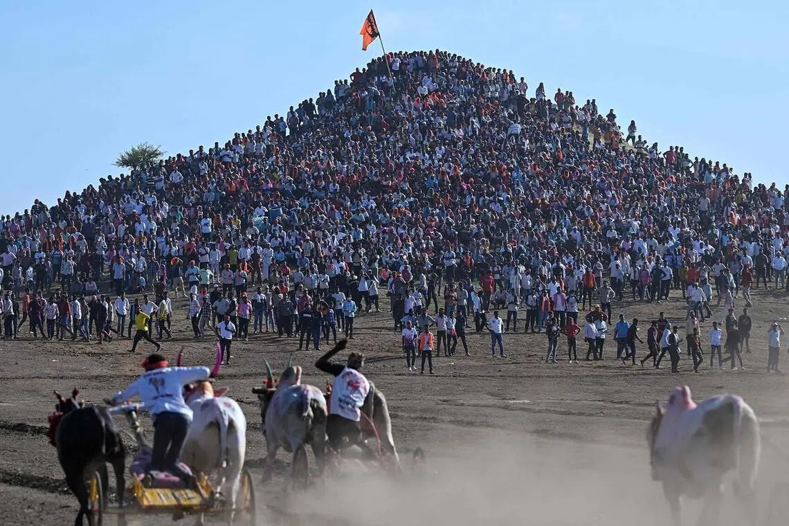 Local villagers gathering atop a hill to watch the annual Pedgaon traditional bullock-cart racing festival in Maharashtra's Satara district in India, on June 21.