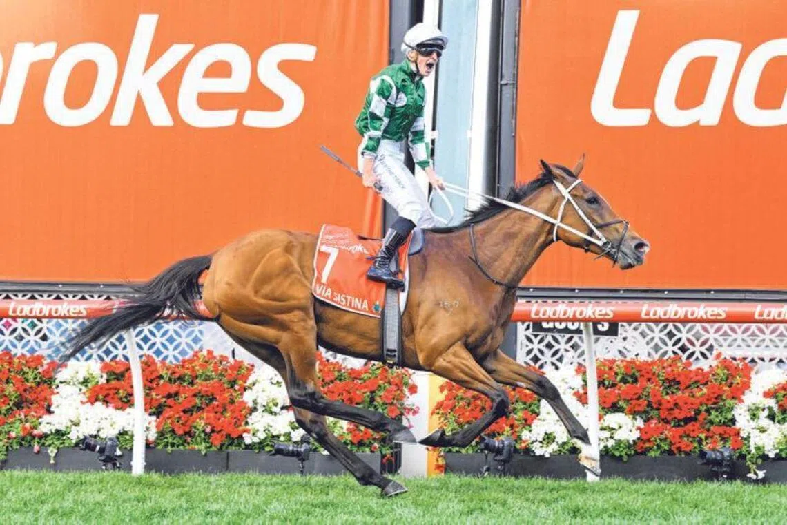 Champion mare Via Sistina (James McDonald) romping to an eight-length record-breaking win at her first Cox Plate success at Moonee Valley on Oct 26, 2024. She went back-to-back in the Australian weight-for-age the next year, even if she had to dig deeper to hold off stablemate Buckaroo by a half-head.

