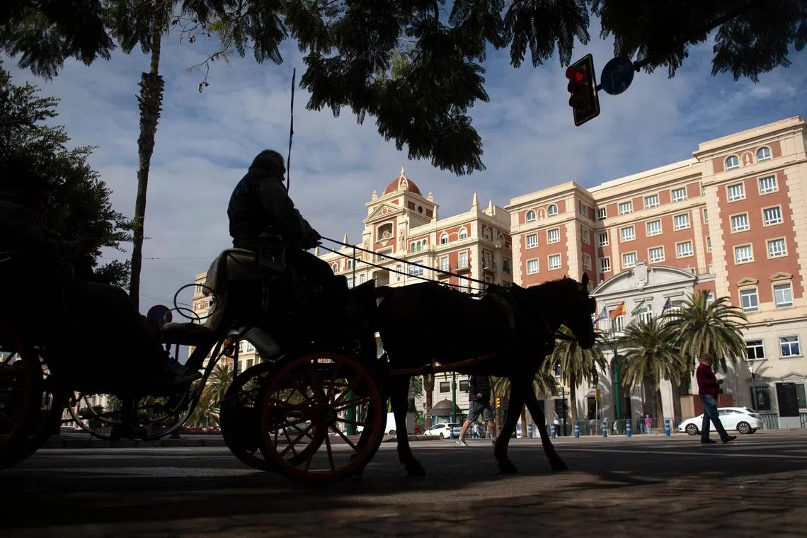 Tourists visit the town of Malaga in a horse-drawn carriage on February 10, 2025. The Malaga City Council, with Francisco de la Torre as mayor, has reached an agreement with the 25 licensed coachmen to stop operating horse-drawn carriages for tourist use. Horse-drawn carriages have been associated with the history of the city of Malaga for decades. (Photo by JORGE GUERRERO / AFP)