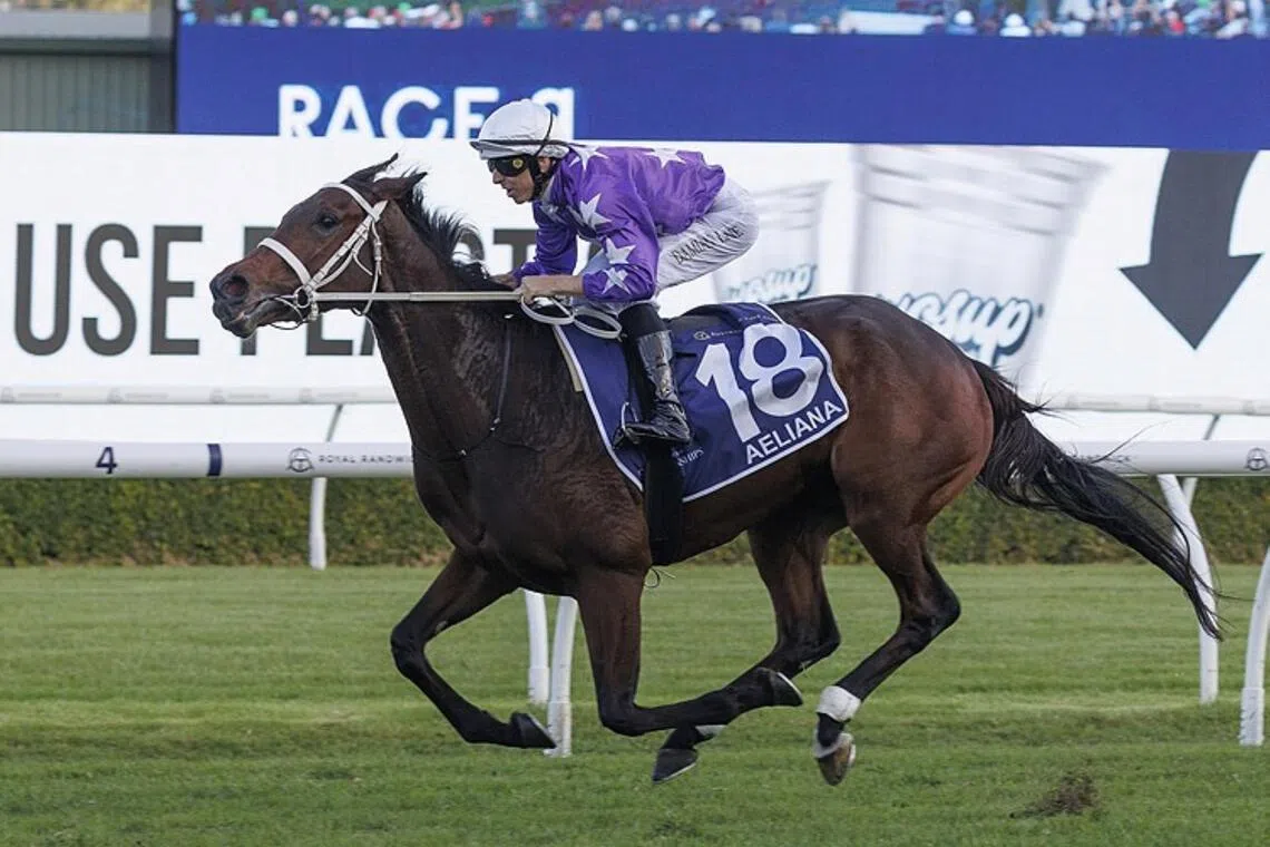 Horse racing: Aeliana (Damian Lane) annihilating her rivals in the Group 1 Australian Derby (2,400m) at Randwick, 5 April 2025.