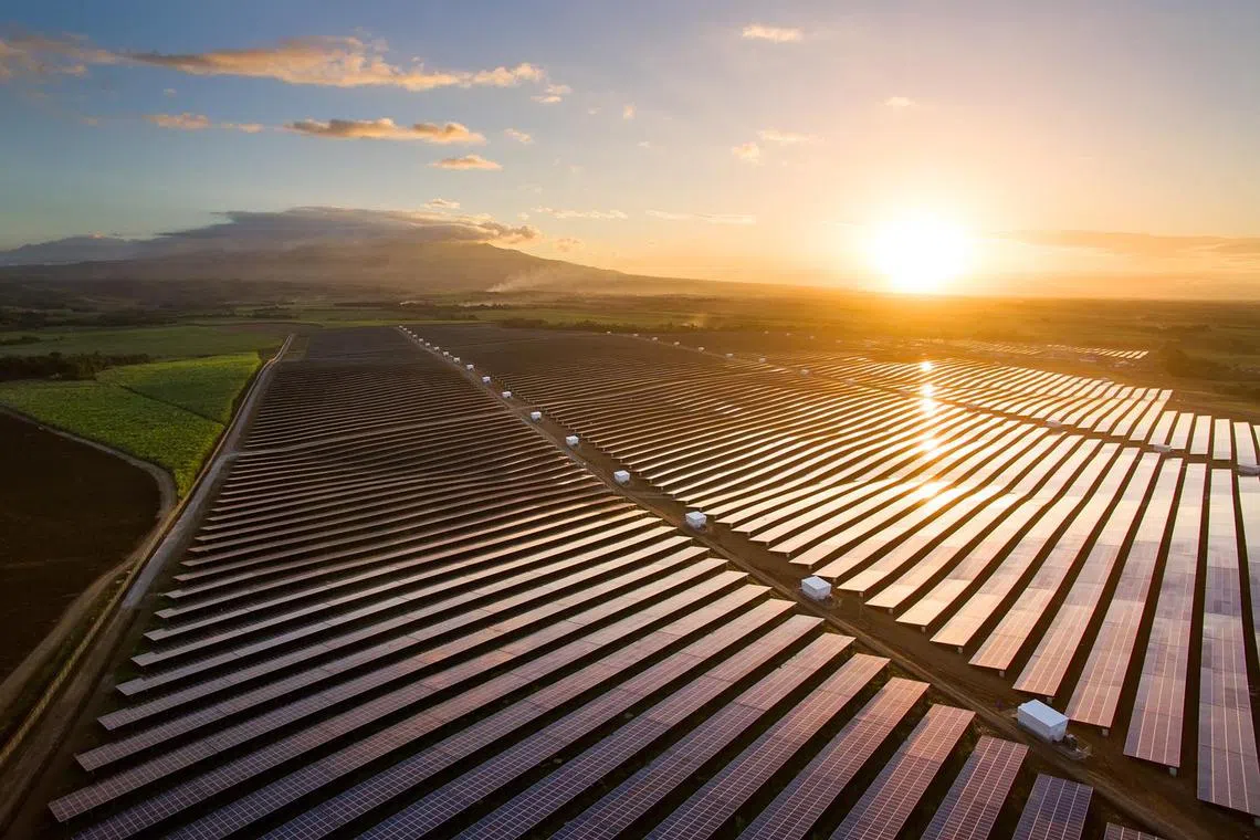 The 132.5 MW solar plant Equis in Cadiz City in the Philippines.