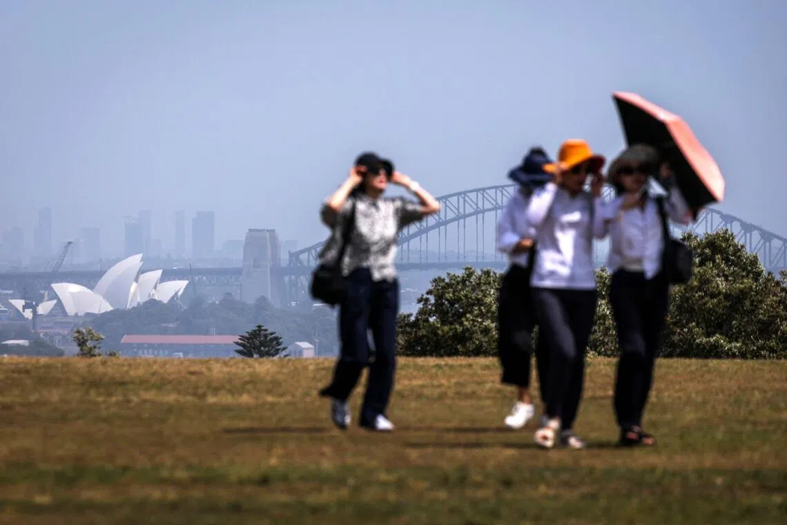 Tourists hold on to their hats and an umbrella as they walk in a park overlooking Sydney Harbour on a hot and windy day in Sydney on Oct 22.
