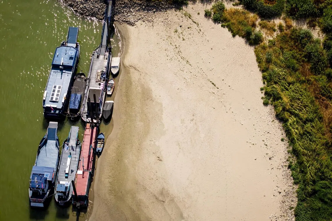 Faced with historic drought, the Dutch rethink water management