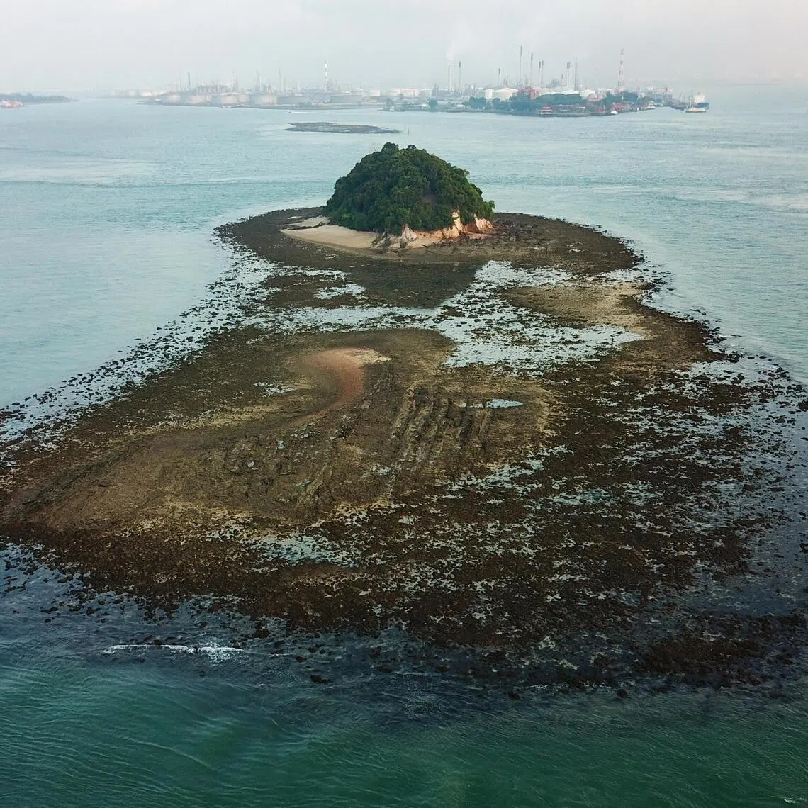 One of the islands that could be merged in the reclamation for a new western island is Pulau Jong, which is one of the last untouched islands of Singapore.