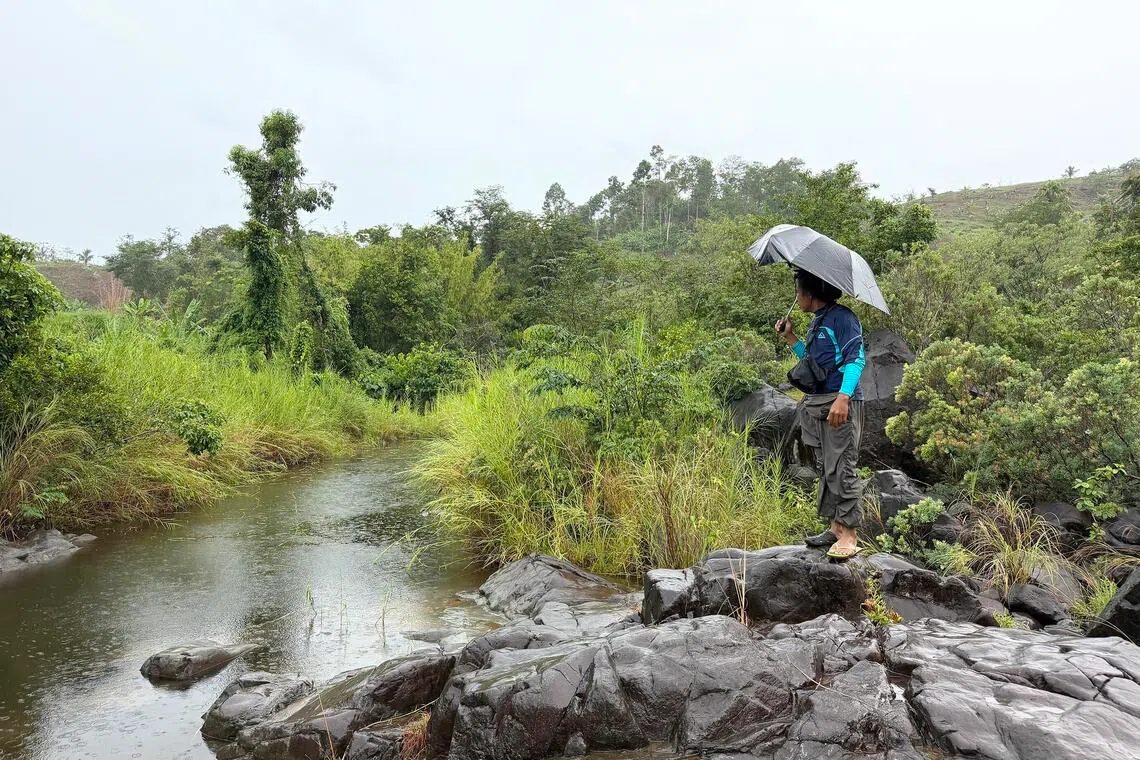 Conservationist Amante Yog-yog Jr watches over a body of water where a Philippine crocodile recently laid eggs.