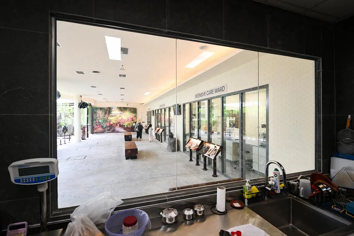 Visitors are able to view the surgical suite, treatment room, intensive care ward and food preparation area at the new Mandai Wildlife Centre.