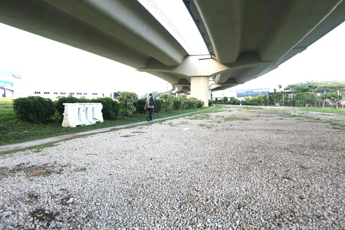 The victim was led to a field underneath Tuas Viaduct. 